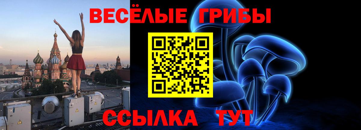 Галлюциногенные грибы ЛСД Киселёвск