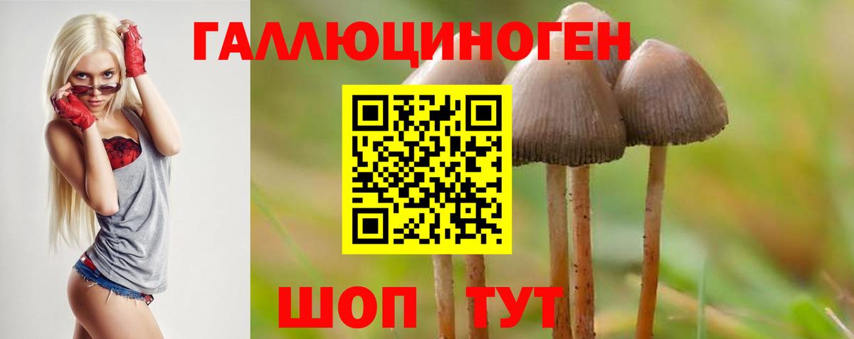 Галлюциногенные грибы Magic Shrooms  Вход с VPN  Киселёвск 